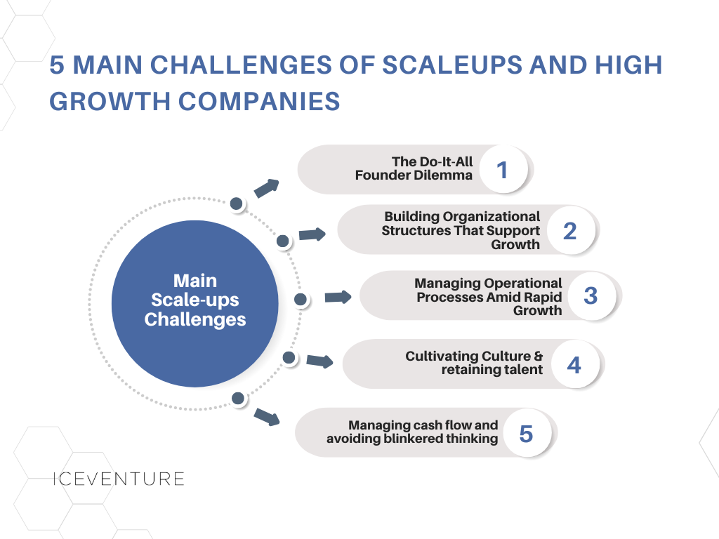 "Five main challenges faced by scaleups and high-growth companies, including founder dilemmas, organizational structures, operational processes, talent retention, and cash flow management.